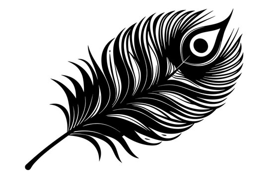 peacock-feather-black-silhouette-vector-white-background.