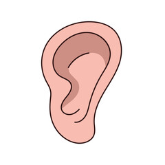 human ear vector illustration on white background. illustration of body organs