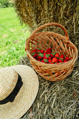 Strawberries in basket and straw hat at haystack