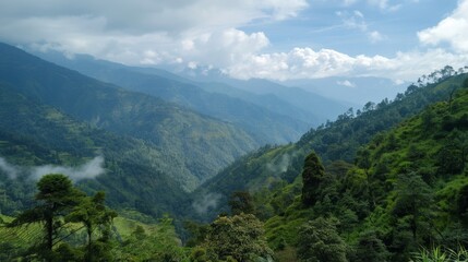 Fototapeta na wymiar Valley View With Trees and Mountains