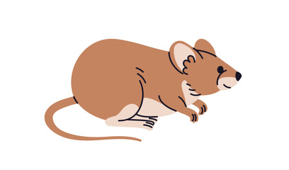 Rat profile. Brown house mouse. Cute rodent pet, side view. Pest, wild nature fauna, mammal with tail. Flat vector illustration isolated on white background
