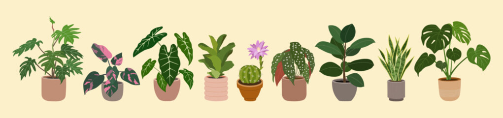 Set of home plants in flowerpots. Houseplants for modern home decoration. Urban jungle. Hand drawn vector illustration isolated on light background, flat cartoon style.