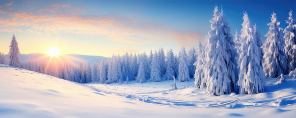 Sunrise over snowy mountain forest landscape