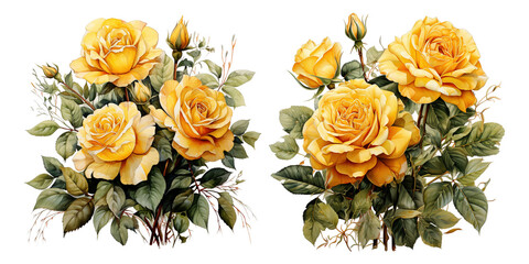 Yellow roses watercolor bouquet composition png transparent background
