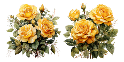 Yellow roses watercolor bouquet composition png transparent background