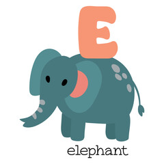 Educational illustration of letter E from alphabet.	
