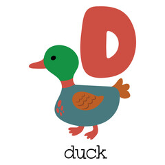 Educational illustration of letter D from alphabet.	
