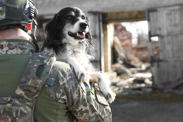 Ukrainian soldier rescuing stray dog outdoors, back view. Space for text