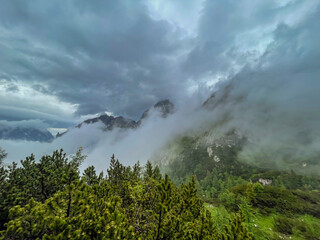 A hike through the Berchtesgaden Wimbach Tal and pass dry creek and hiking trails with deep green nature landscape