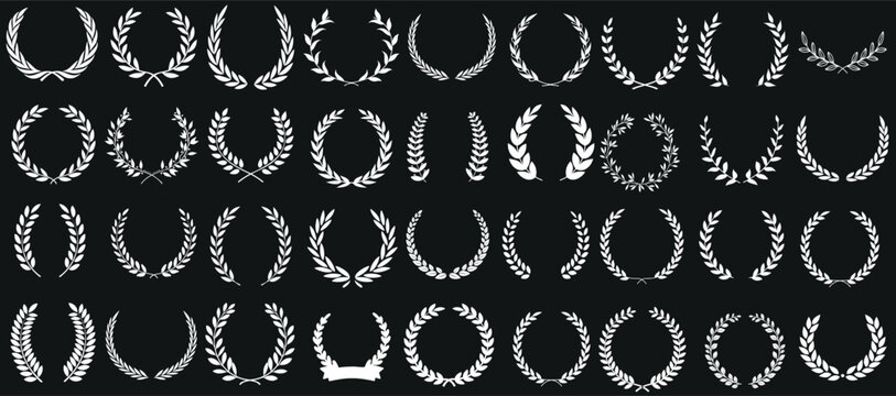 floral frame laurel wreath vector set