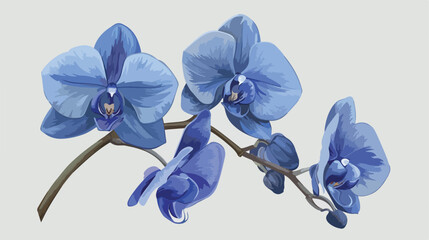 Fantastic flower of orchid in phantom blue 