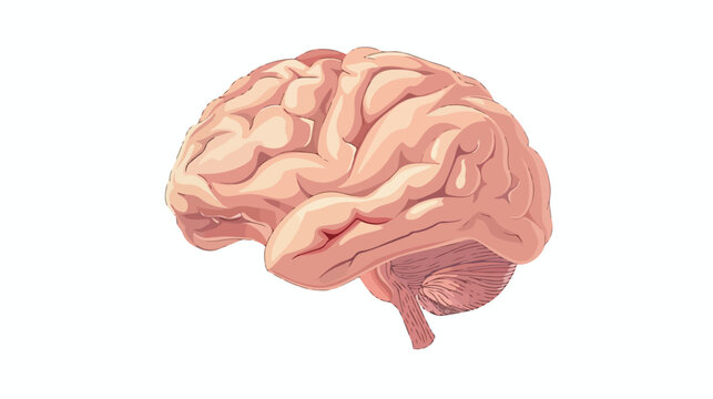 Brain image for science and study flat vector