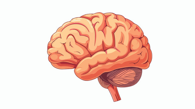 Brain image for science and study flat vector