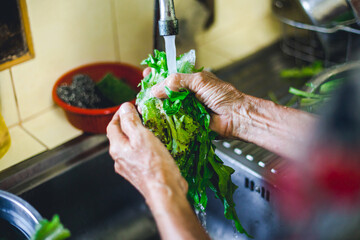 person preparing food