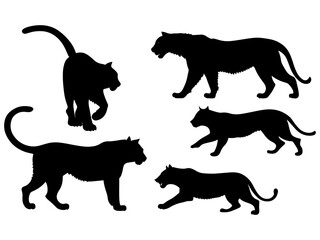 set of a tiger silhouette vector illustration