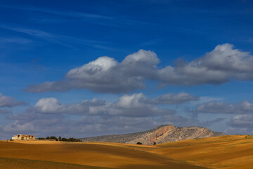 Landschaft bei Ronda, Andalusien, Spanien < english> Landscape near Ronda, Andalusia, Spain