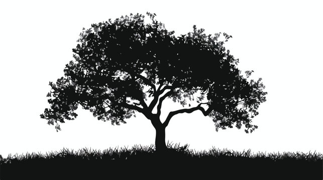 Graphic black and white silhouette of a tree. Vector