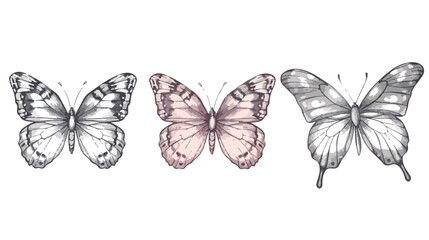Hand-drawn continues line butterflies drawing Flat vector
