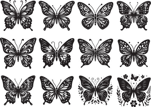 silhouettes of butterflies, vector illustration