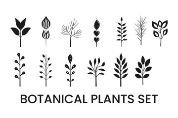 set of botanical plants elements