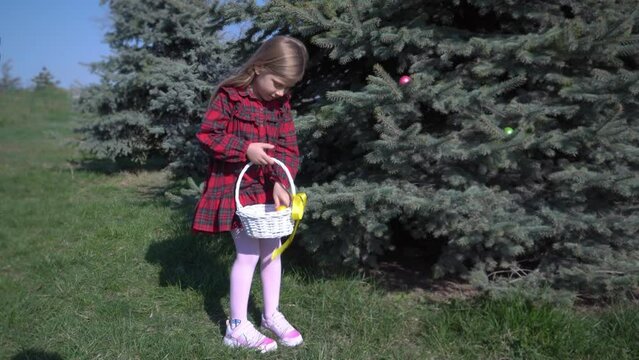 The girl pick up eggs hidden on the tree. The girl puts the found eggs in a basket. Easter egg hunt.