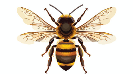 Honeybee Vector on White Background Flat vector 
