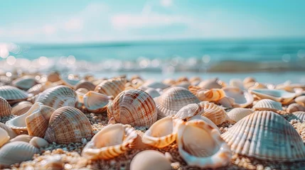 Crédence de cuisine en verre imprimé Couleur saumon Vacation summer holiday travel tropical ocean sea panorama landscape - Close up of many seashells, sea shell on the sandy beach, with ocean in the background Mental Health Practice.