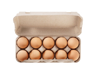Overhead view of brown chicken eggs in an open egg carton isolated on white