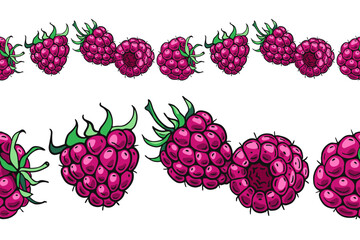 Ripe Raspberries. Seamless banner. Design of candies and sweet dessert . Vector illustration.