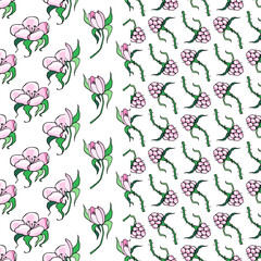 Ripe Pink Raspberries and Pink Flowers. Set of seamless pattern. Vector illustration