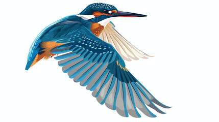Kingfisher bird flying vector illustration Flat vector