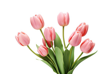 Fototapeta premium Blooming Elegance: A Bountiful Bouquet of Blush Pink Tulips in a Graceful Vase. On a White or Clear Surface PNG Transparent Background.