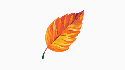 Leaf colorful icon. Vector leaves logo. Orange autumn
