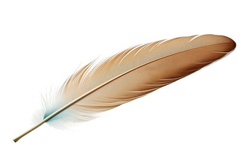 Ethereal Dance: A Single Feather on a White Canvas. On a White or Clear Surface PNG Transparent Background.