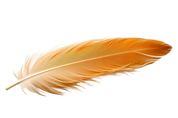 Ethereal Dance: A Single Feathers Graceful Descent on a White Canvas. On a White or Clear Surface PNG Transparent Background.