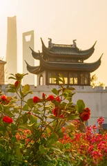 Photo sur Plexiglas Pont de Nanpu Modern buildings and Ancient Architecture in Shanghai, China