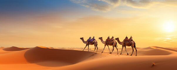 Fototapeta na wymiar Cammels in dessert. Camel animals walking through a hot desert full of sand