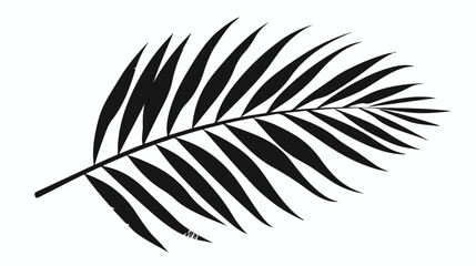 Palm leaf vector silhouette. Black on white. Vector i