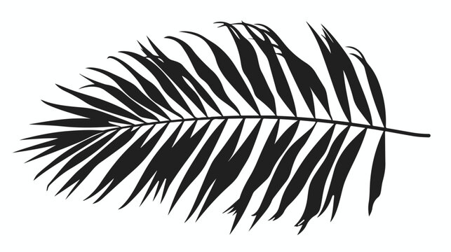 Palm leaf vector silhouette. Black on white. Vector i