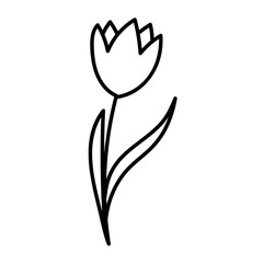 Doodle line floral drawing. Vector illustration