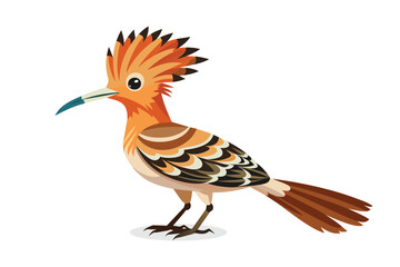  Hoopoe Bird vector illustration on white background.