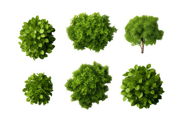 Obraz premium Lush Canopy: A Verdant Tapestry of Top View Trees and Bushes. On a White or Clear Surface PNG Transparent Background.