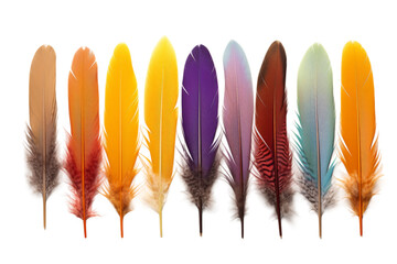 A Spectrum of Plumes: Vibrant Feathers Lining a White Canvas. On a White or Clear Surface PNG Transparent Background.