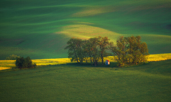 South Moravia landscape and farmland at sunrise