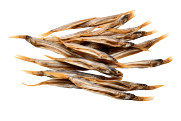 School of Dried Fish: Culinary Symphony on a White Canvas. On a White or Clear Surface PNG Transparent Background.