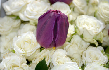 Bouquet of Roses and Tulips