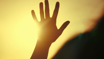 hand of happy girl at sunset with glittering golden light. sunset between the hands of a girl. this happy girl stretches her hand to the sun. girl silhouette dream stretches out her hand to the sun - 767790431