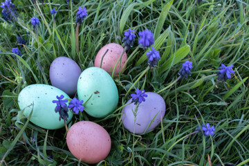 Photo of colored easter eggs