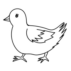 Chicken bird line drawing. Doodle vector illustration.