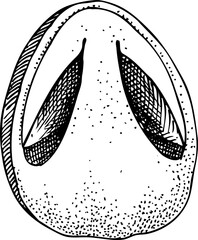 Hand-drawn straw mushroom sketch. Autumn forest plant  vector illustration in vinatge style - 767793830